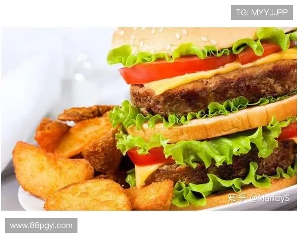 “美国汉堡比赛：谁能创造出最美味的汉堡？”